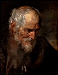 Van Dyck, Porträt eines alten Mannes, Museum Capodimonte in Neapel, Italien