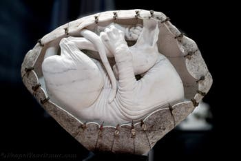 Jago, Sphynx, Jago-Museum in Neapel, Italien