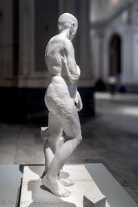 Jago, Venus, Jago-Museum in Neapel, Italien
