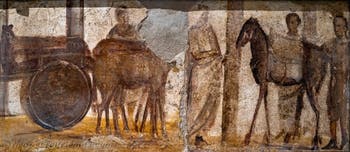 Fresko Wagen mit Maultieren, Pompeji, Praedia di Giulia Felice, Archäologisches Museum Neapel