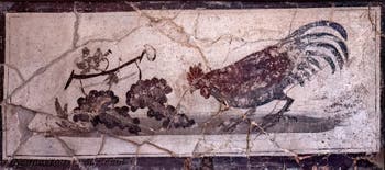 Fresko Hahn pickt Trauben, Herculaneum, Casa dei Cervi, Archäologisches Museum Neapel