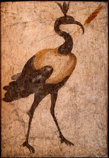 Fresko Heiliger Ibis vom Nil, Pompeji, Tempel der Isis, Sacrarium, Archäologisches Museum Neapel