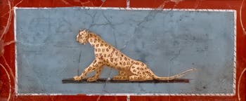 Fresko Panther, Pompeji, Grab des Mamia, Archäologisches Museum Neapel