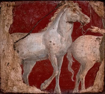 Fresko Zwei Pferde am Zaumzeug, Stabiae, Villa di Ariadne, Archäologisches Museum Neapel