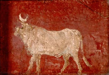 Fresko Stier Apis, Pompeji, Archäologisches Museum Neapel