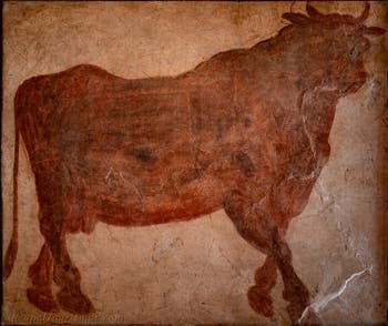 Fresko Stier Apis, Pompeji, Tempel der Isis, Sacrarium, Archäologisches Museum Neapel