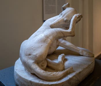 Hund bei der Fellpflege, Farnese-Sammlung, Archäologisches Museum von Neapel, Italien