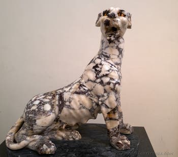 Gefleckter Panther, Farnese-Sammlung, Archäologisches Museum von Neapel, Italien
