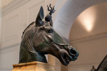 Pferdekopf aus Neros Quadriga, Herculaneum, Archäologisches Museum von Neapel, Italien