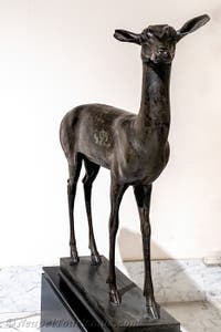 Hirschkalb, Villa dei Papiri, Herculaneum, Archäologisches Museum von Neapel in Italien