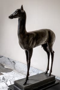Hirschkalb, Villa dei Papiri, Herculaneum, Archäologisches Museum von Neapel in Italien