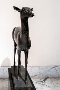 Hirschkalb, Villa dei Papiri, Herculaneum, Archäologisches Museum von Neapel in Italien