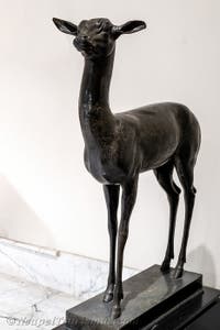Hirschkalb, Villa dei Papiri, Herculaneum, Archäologisches Museum von Neapel in Italien